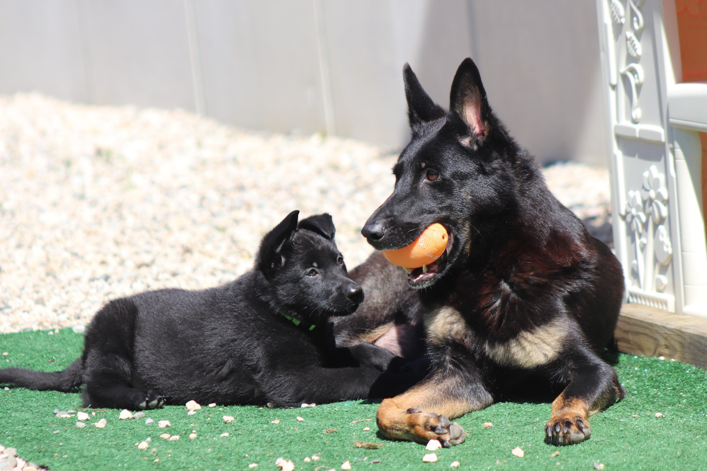 Du domaine saint loup - Merci pour votre confiance !