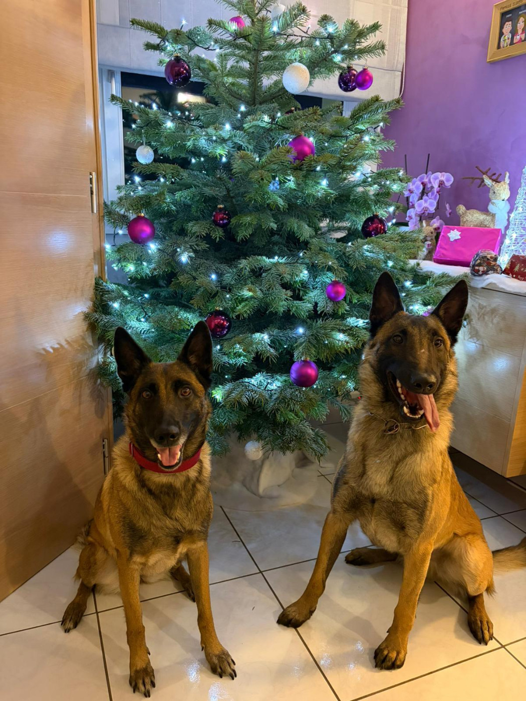 Du domaine saint loup - Merci pour votre confiance !