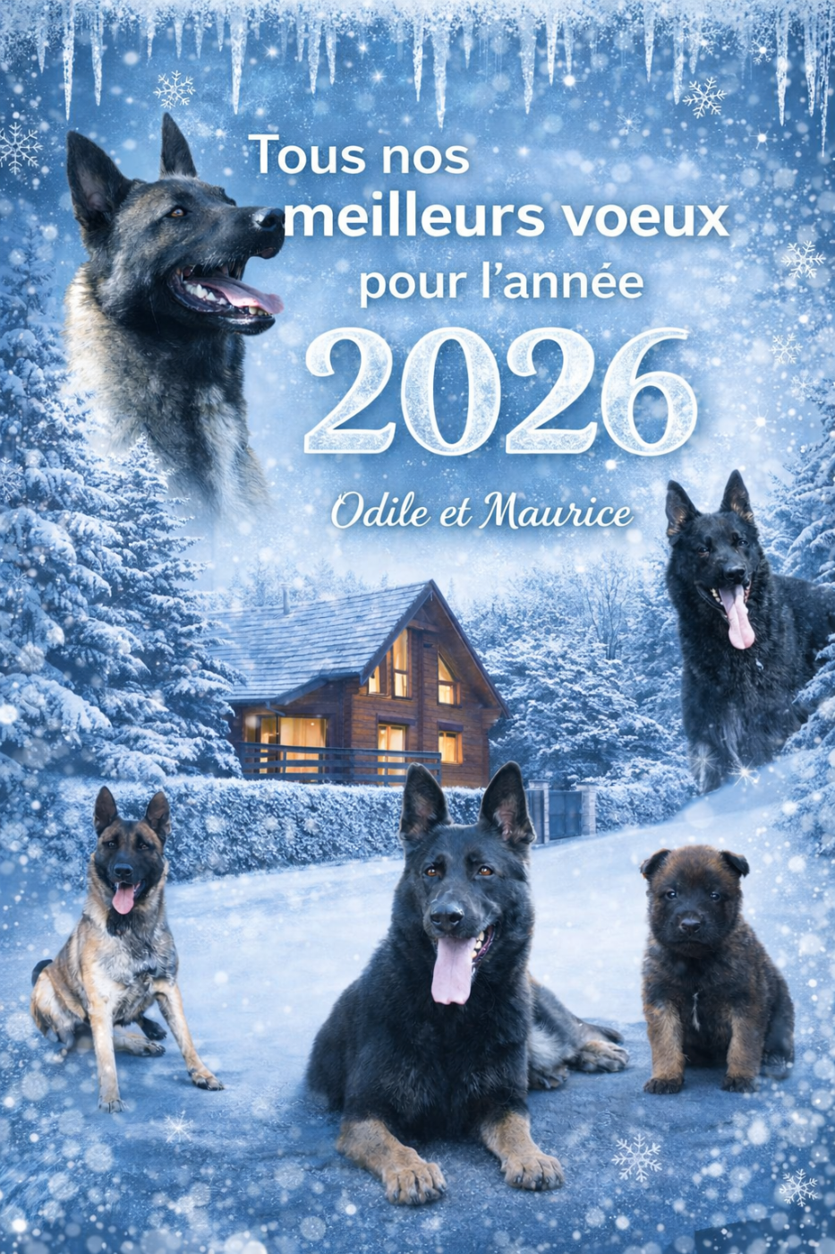 Très belle année à tous les visiteurs de notre site !