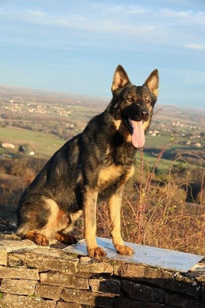 STORM DES ORCKIS DE L'ADRET