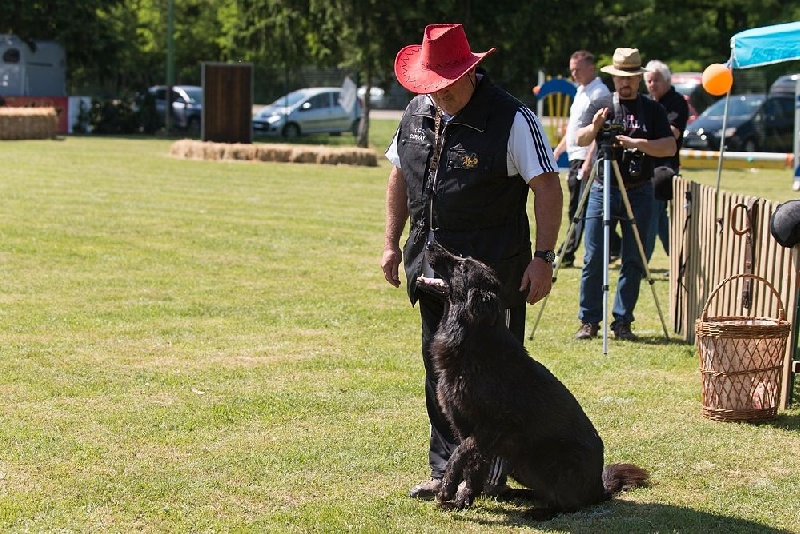 CONCOURS MONDIORING A CERNAY LE 31 MAI 2014