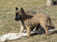 HELKA