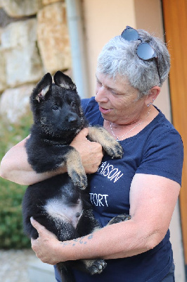THOR