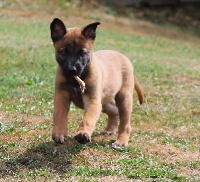 MAYKA