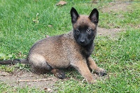 H'XENA